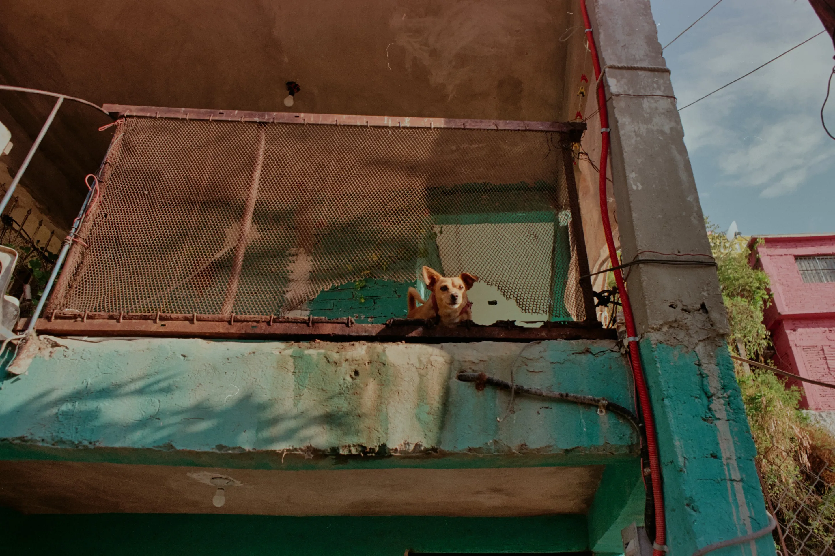 Featured photo: 14