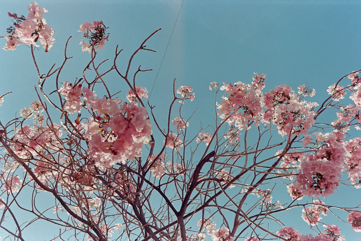 Featured photo: 20230403-MHLab-Ultramax400-04
