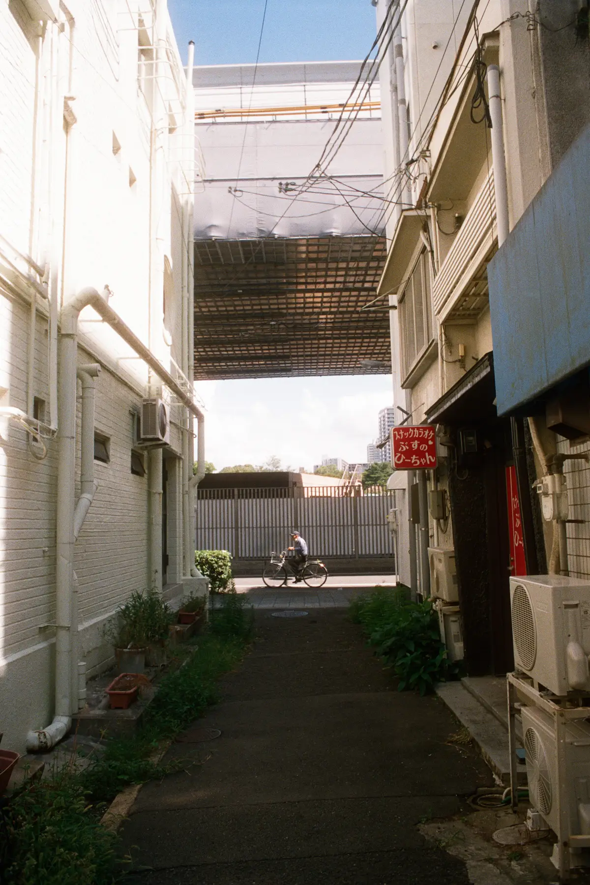Featured photo: 20231004_1_Pantera_Portra800_21