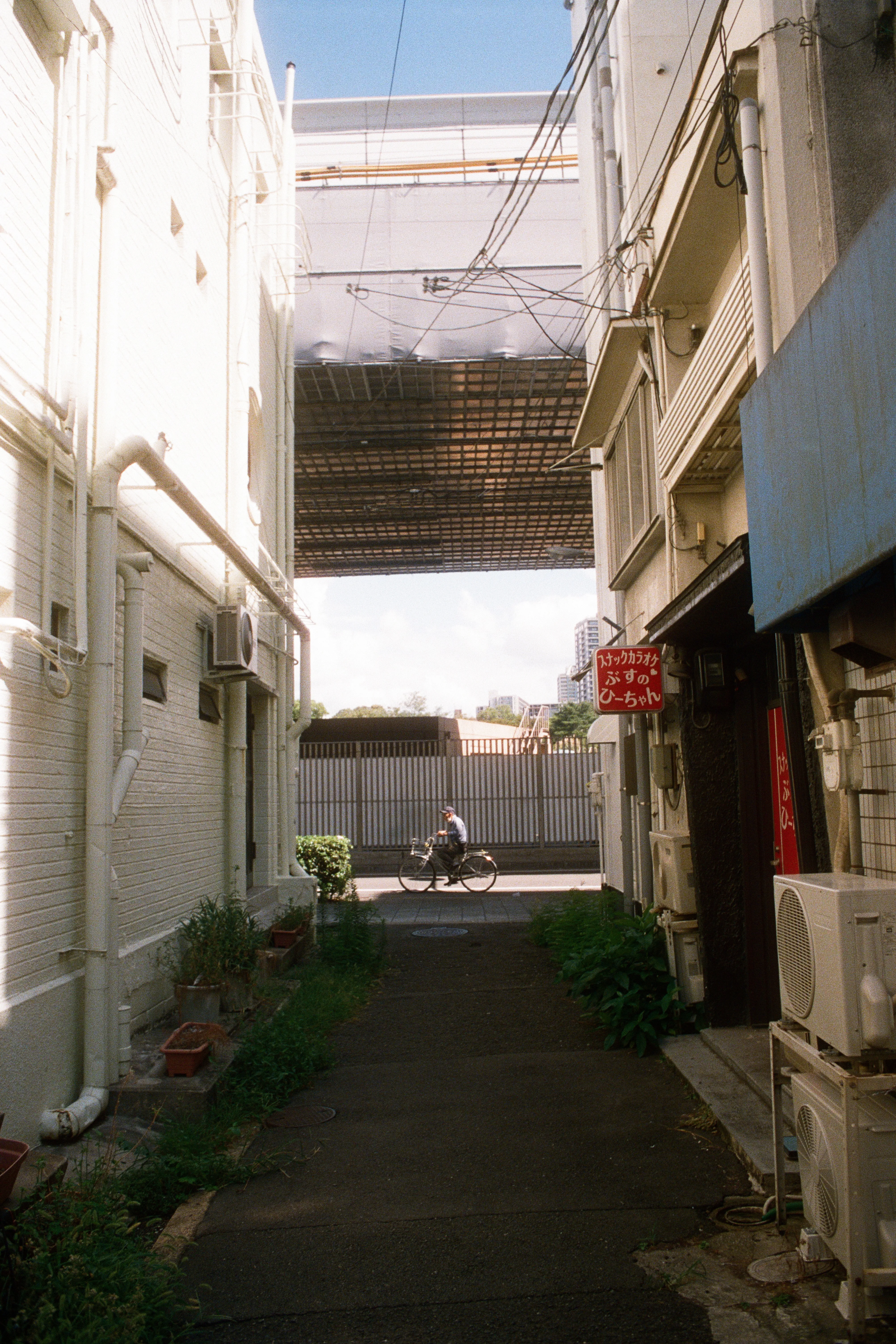 Featured photo: 20231004_1_Pantera_Portra800_21