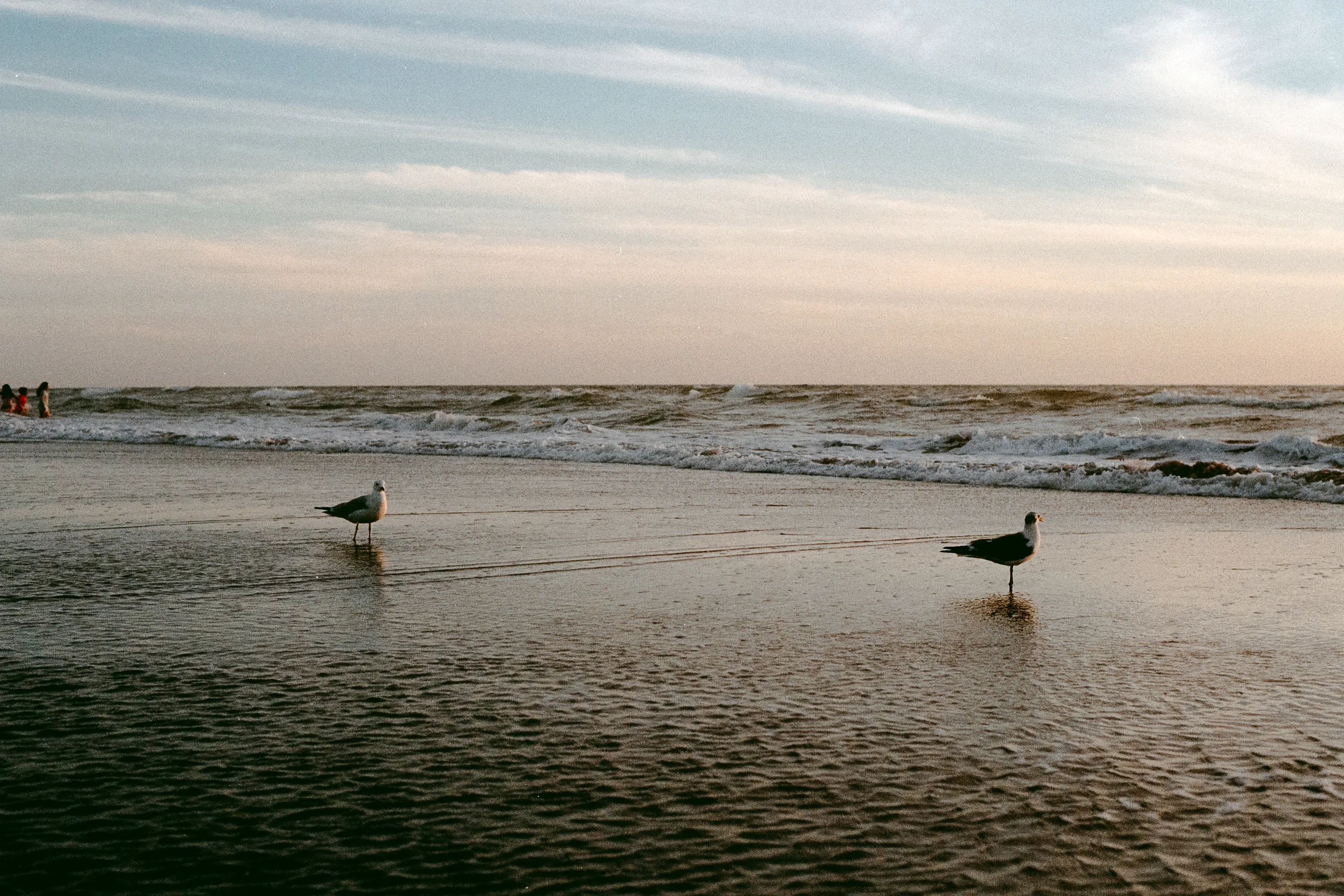 Featured photo: 20231222-MHLab-Fuji200-31