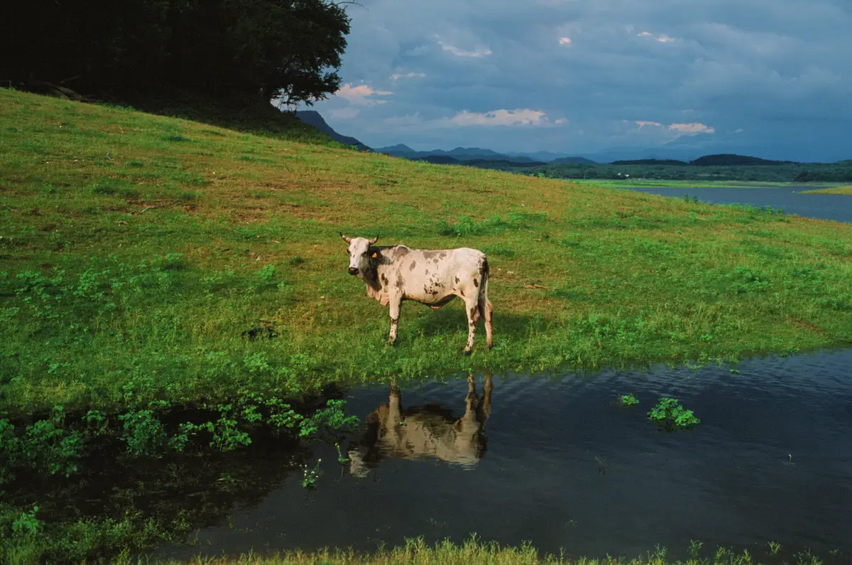 Featured photo: Kyoskko-Velvia50-6