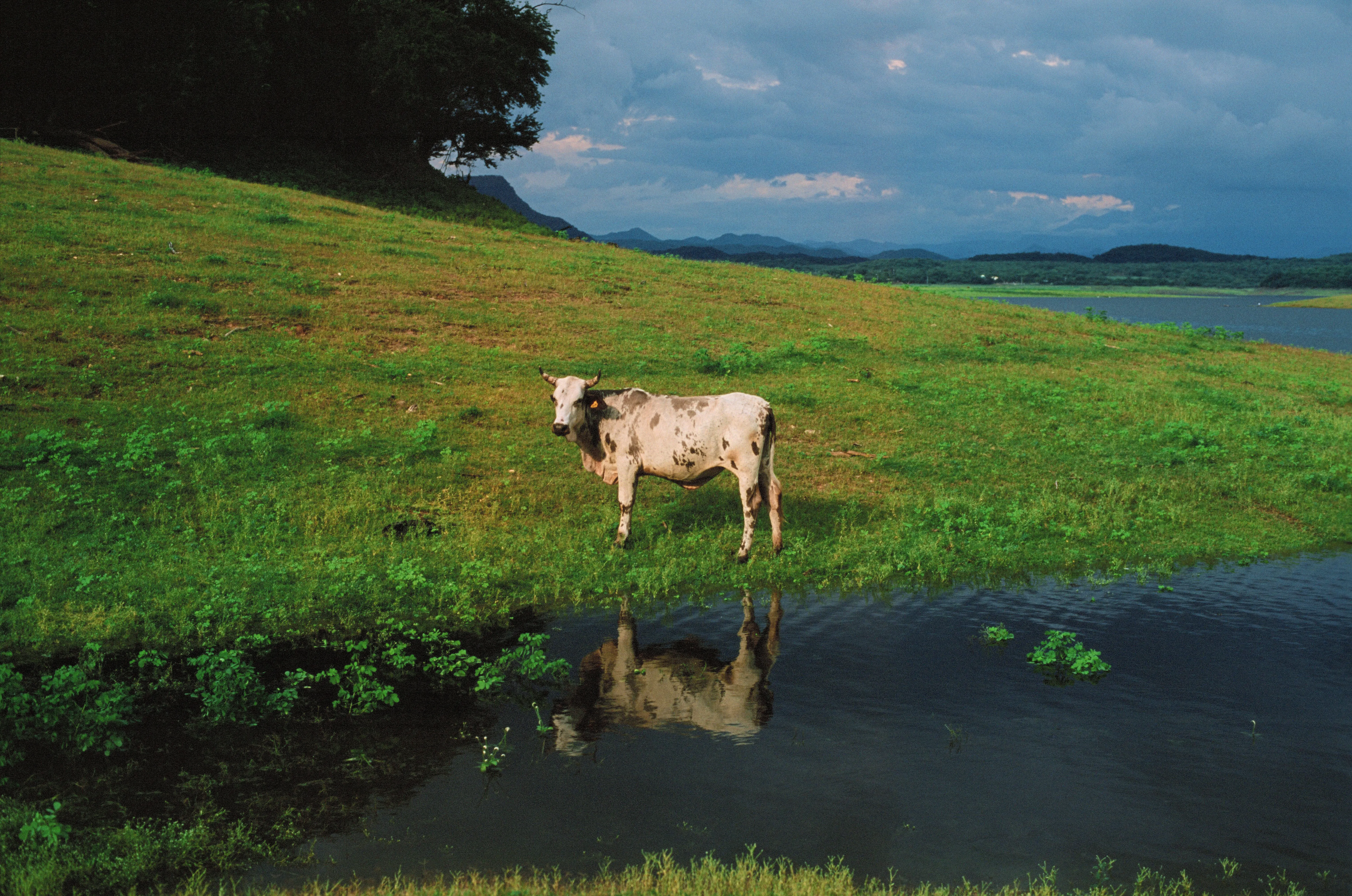 Featured photo: Kyoskko-Velvia50-6